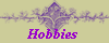 Hobbies 