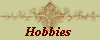Hobbies 