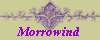 Morrowind 